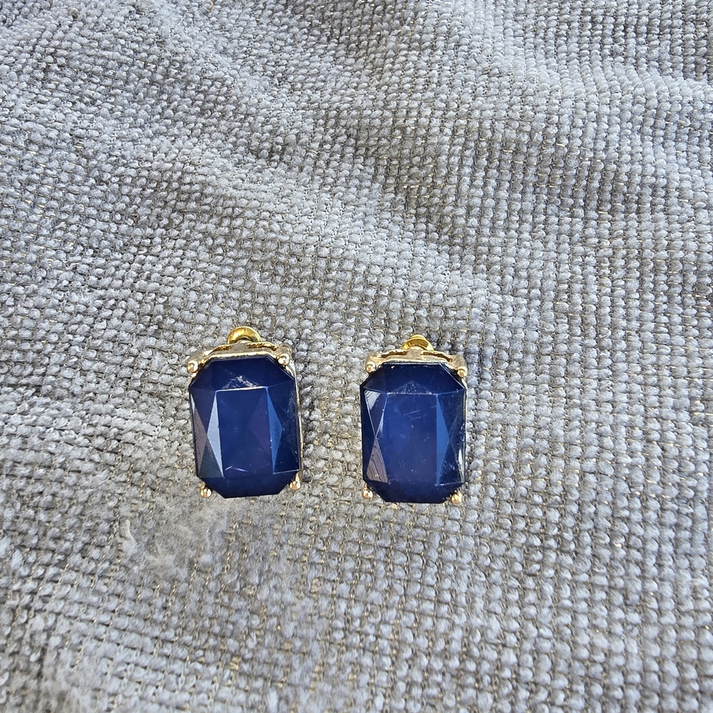 Elegant Blue and Gold Earrings - Picture 2 of 6